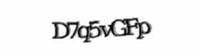 Security check image, please type the characters shown