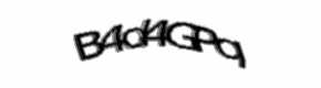Security check image, please type the characters shown