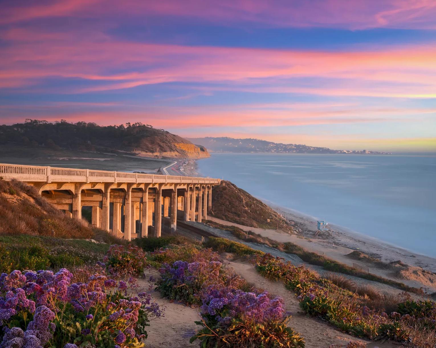 Stock image by dfjac.
A bridge along the San Diego coast (Torrey Pines Coastal Bridge) in the sunset under pink clouds and surrounded by vivid plants and the Pacific Ocean.