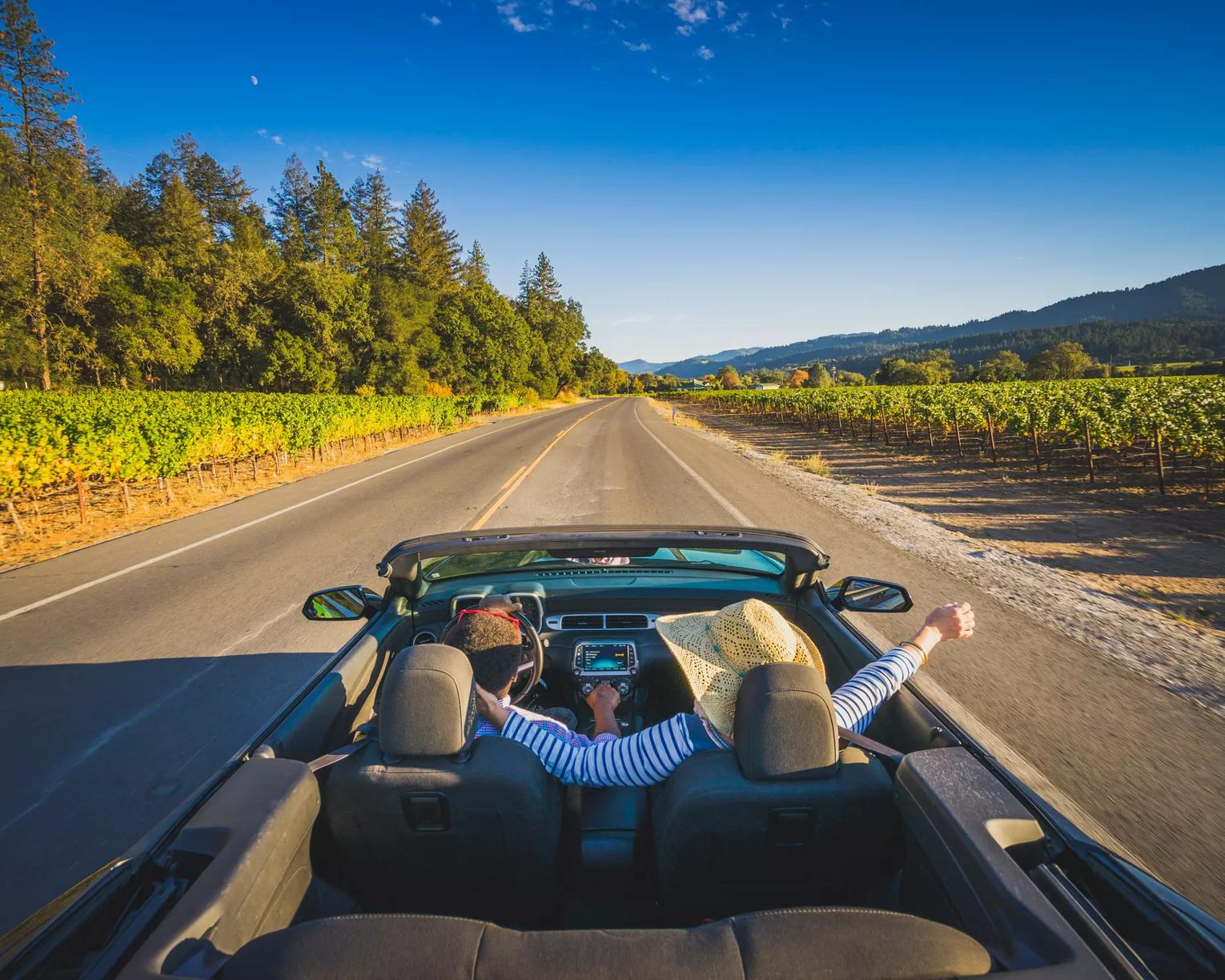 Driving the Silverado Trail, Napa Valley, California