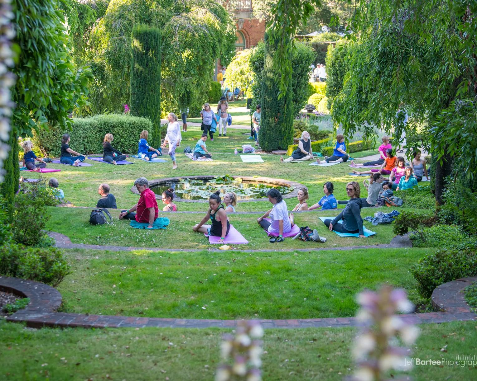 Story Idea submission of Yoga at Fioli Estate