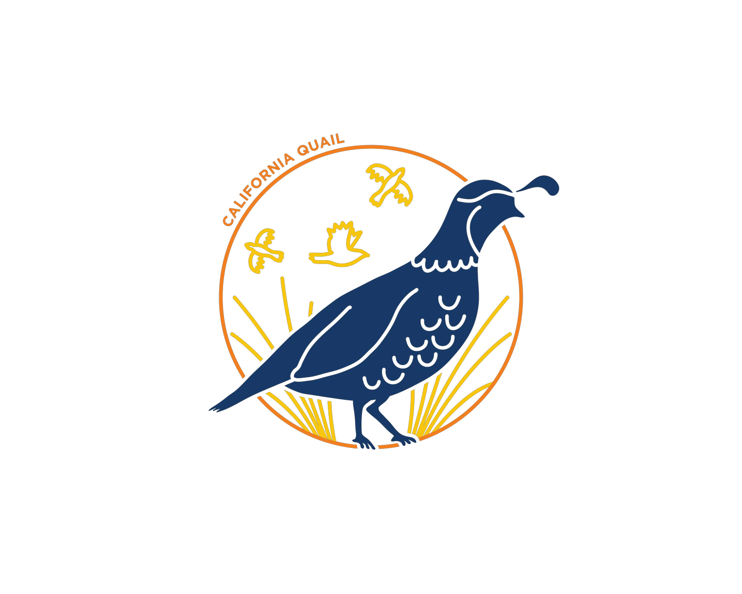 This custom icon set incorporates Visit California's primary brand colors to represent official state symbols, such as the flag, state animal and state motto.