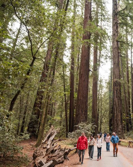 Hiking Armstrong Redwoods State Park in Guerneville, California on October 25, 2024.