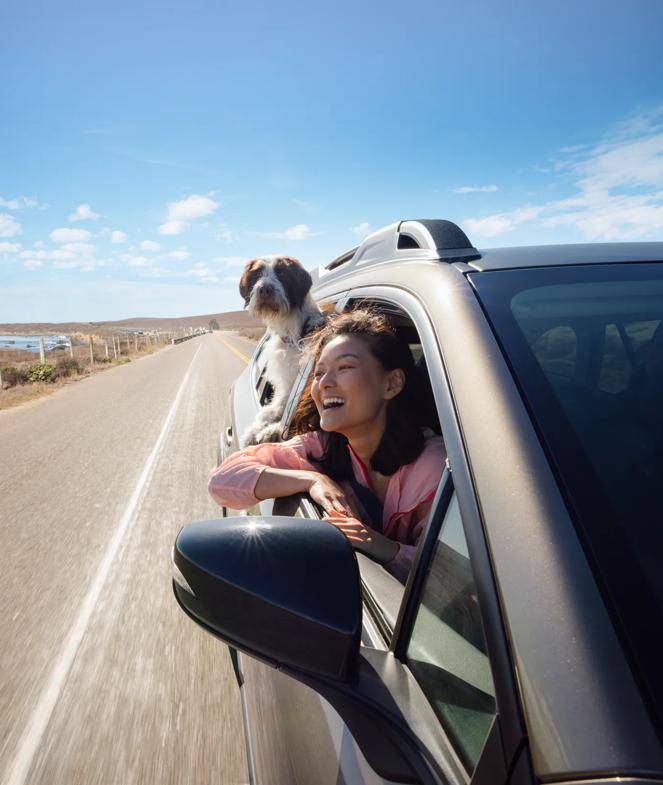 A car drives down a coastal highway. The passenger and their dog stick their heads out the windows. Shot was taken as part of the 2024 Road Trips Up Around the Bend/Playful Journeys Brand campaign shoot.