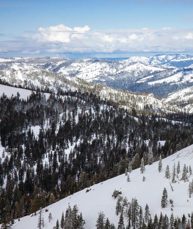 Still from the VCA Campaign "Let's Play"/"Snow" March 2024 shoot, shot by Corey Rich/Brand New Pictures, and produced by The Shipyard at Palisades Tahoe Ski Resort in Lake Tahoe, CA.
A wide shot of the mountains, covered on snow and trees, during a partially cloudy day.