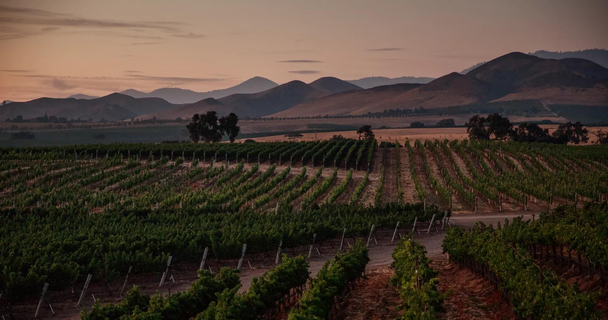 Santa Barbara wine country