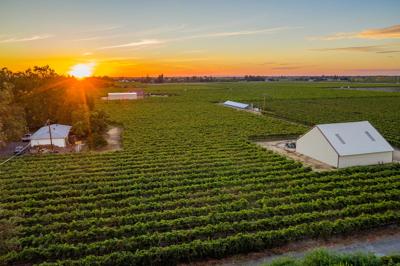Lodi, California