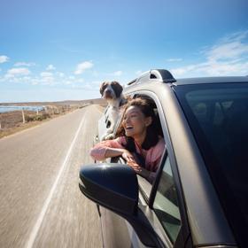 A car drives down a coastal highway. The passenger and their dog stick their heads out the windows. Shot was taken as part of the 2024 Road Trips Up Around the Bend/Playful Journeys Brand campaign shoot.