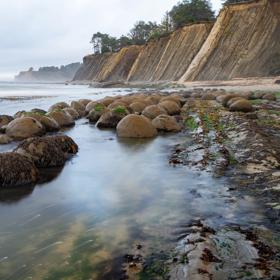 These assets were produced in collaboration with More Than Just Parks for the Rural Regional Marketing Program. They showcase mossy and algae covered rocks on the shore of Bowling Ball Beach in Mendocino County and are representative of the North Coast region.