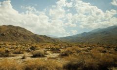 Aqua Caliente's Indian Canyons in Palm Springs, California on September 14, 2022.
