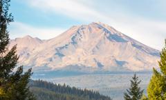 View of the forest and mountains at Castle Crags State Park. Photographer: Kyle Huber