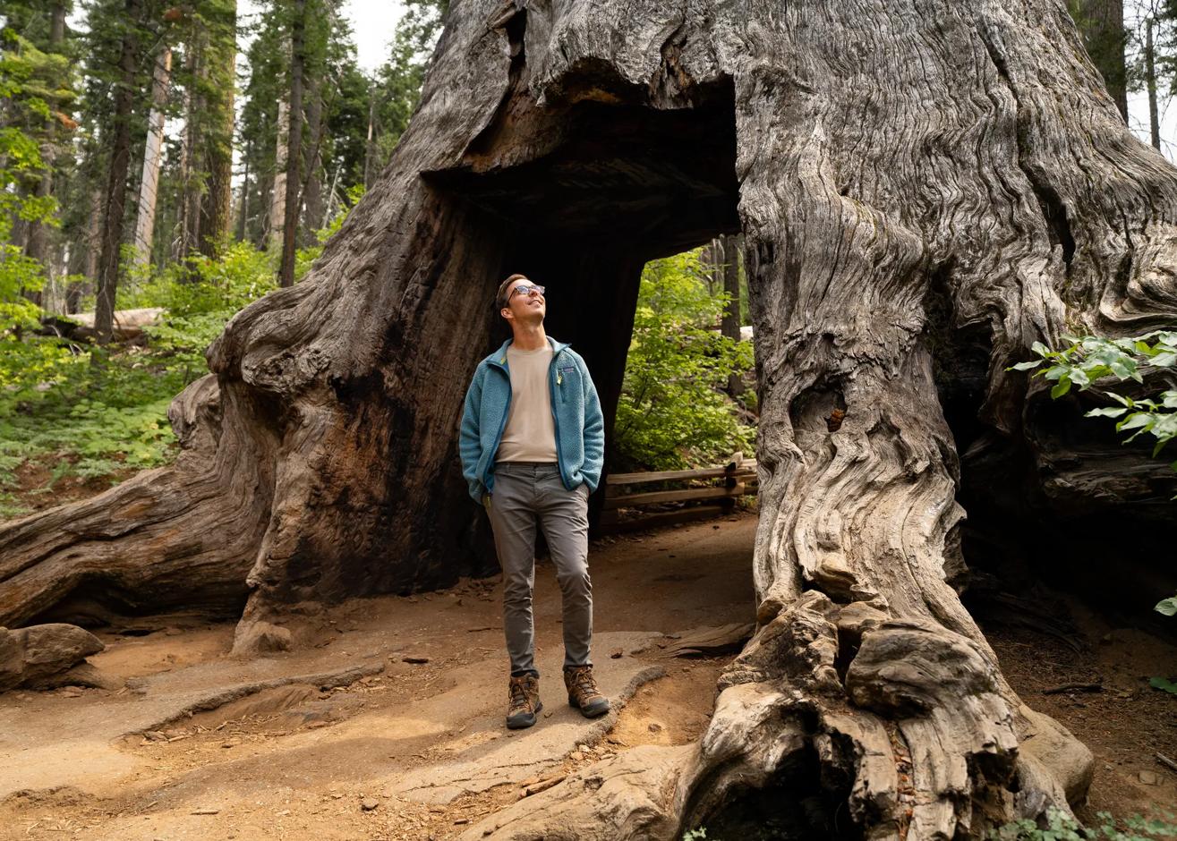 These assets were produced in collaboration with More Than Just Parks for the Rural Regional Marketing Program. They showcase Yosemite National Park and are representative of the Gold Country, High Sierra, and Central Valley regions.
