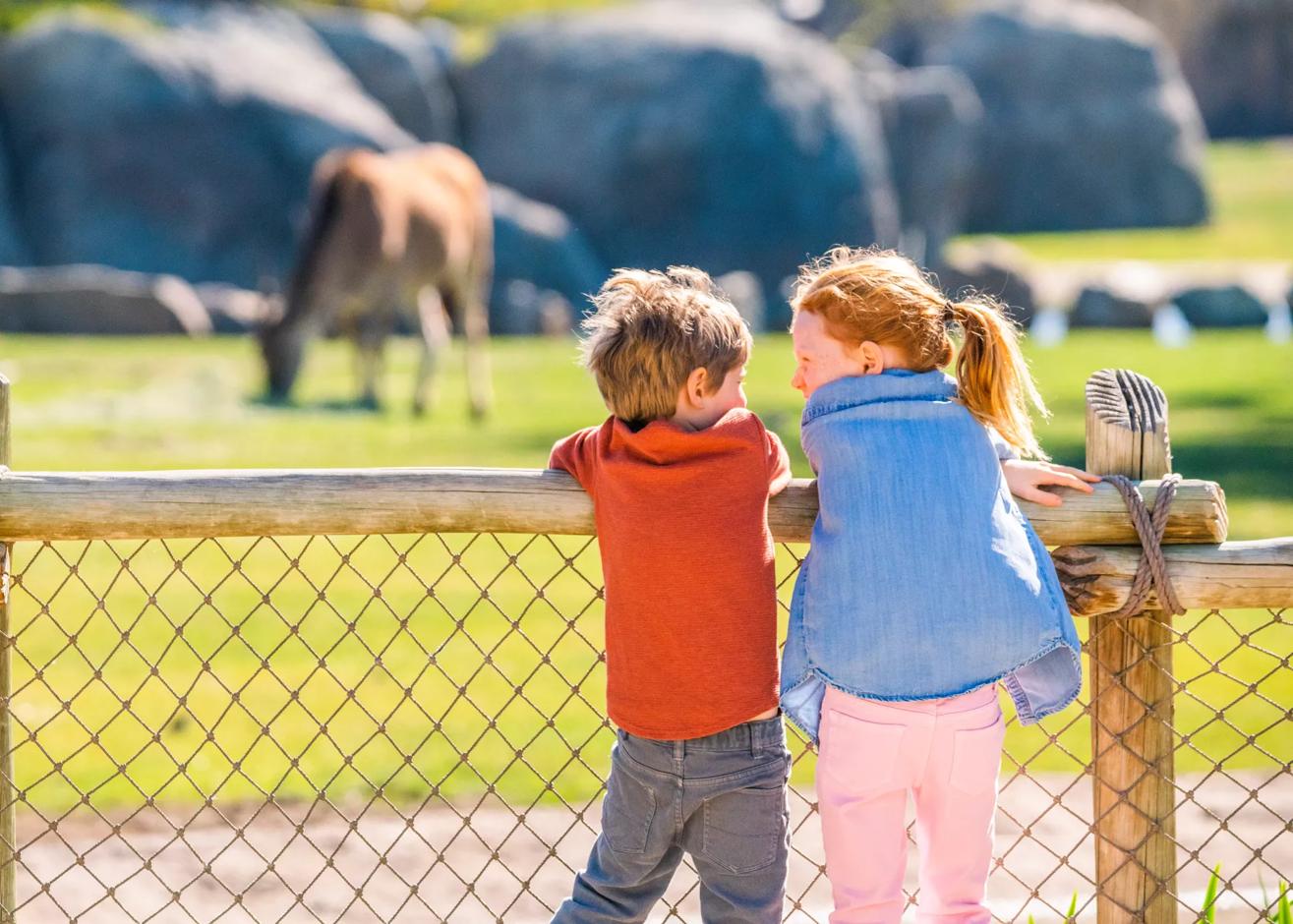 Fresno Chaffee Zoo, Fresno, California