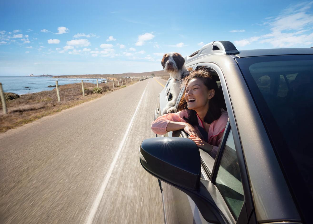 A car drives down a coastal highway. The passenger and their dog stick their heads out the windows. Shot was taken as part of the 2024 Road Trips Up Around the Bend/Playful Journeys Brand campaign shoot.