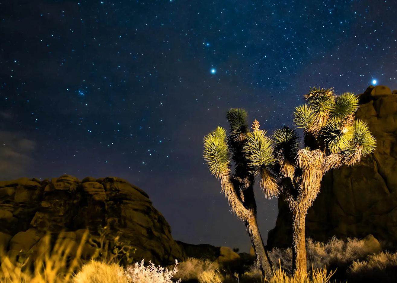 The Joshua Tree Night Sky Festival is an annual event celebrating the breathtaking desert skies and stargazing opportunities in Joshua Tree, California. Held in the fall, the festival offers a variety of activities, including guided stargazing tours, telescope viewing, astronomy workshops, and talks by expert astronomers. The event highlights the area's dark skies and unique celestial phenomena, making it a must for skywatchers and nature enthusiasts. Set against the iconic desert landscape, it combines science, education, and natural beauty for an unforgettable experience.

Credit: Visit Greater Palm Springs