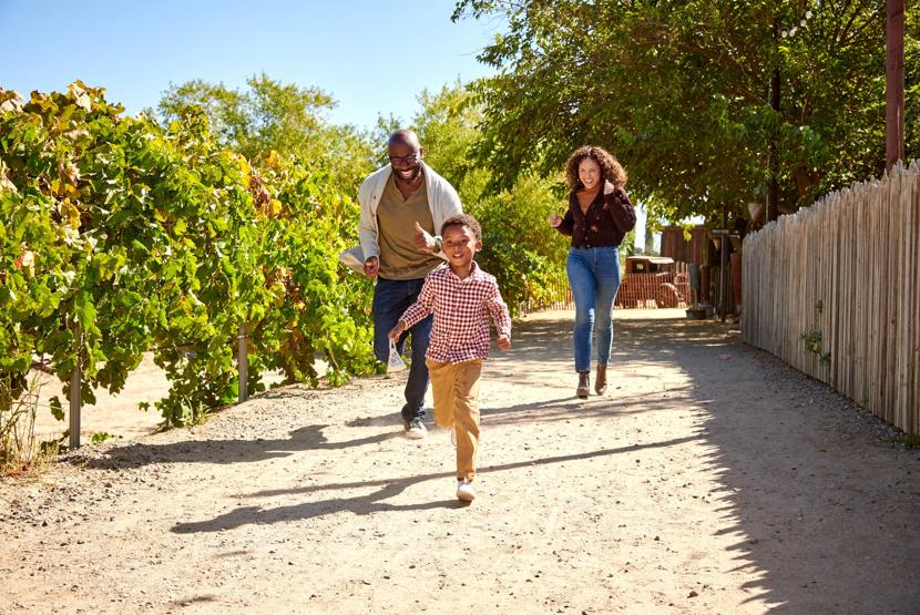 Story Idea submission for U-Pick Murrieta in Murrieta